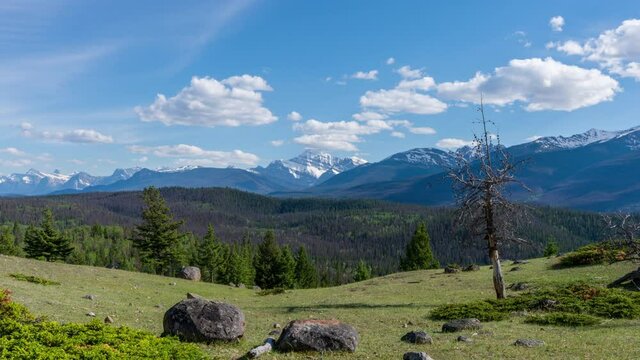 Panorama view Mount Edith Cavell and Athabasca Valley forest in summer. Jasper National Park Canadian Rockies mountain range beautiful landscape. Alberta, Canada.