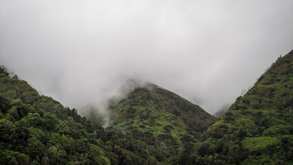 The landscape of Sao Jorge Island in the Azores