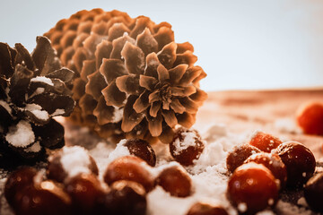 pine cones