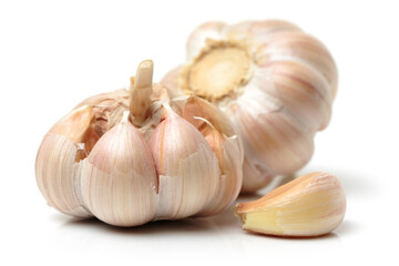 fresh garlic isolated on white background 