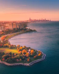 Fotobehang Chicago fall foliage from south  © Ionel