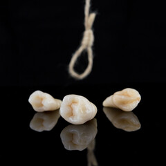 Premolar and canine tooth after removal with roots with thread on a black background.