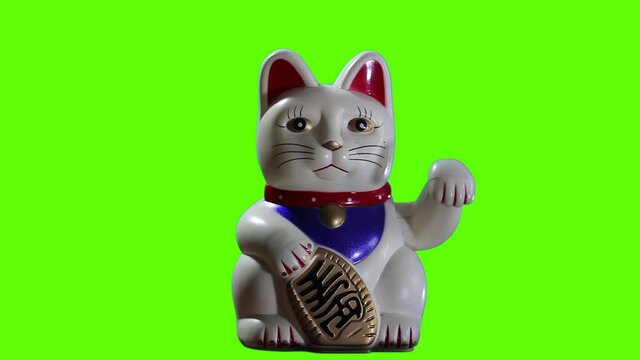 Lucky Cat over Green Background. You can replace green screen with the footage or picture you want. You can do it with “Keying” effect in After Effects. Close Up. 4K Resolution. 