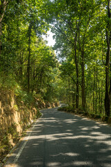 Fototapeta na wymiar The Beautiful Road, Darjeeling, India