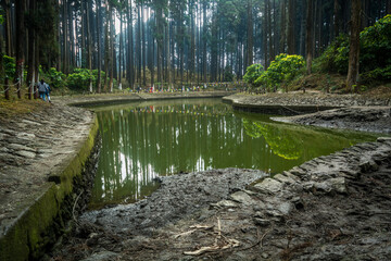 Sacred pond of Lamahatta, darjeeling, India