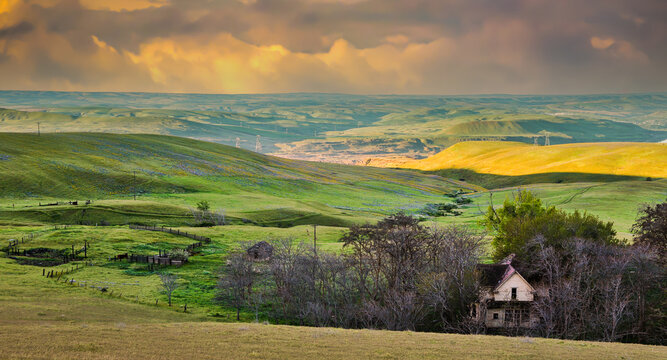 An abandon farm house and corrall at sunset in the rolling hills of Columbia Hills State Park, Washington, the Columbia River,