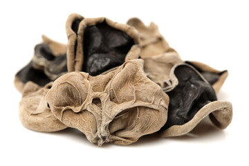 black fungus on white background © zcy