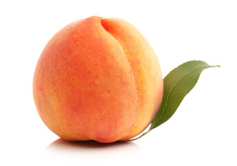 Gold Peach on a white background 