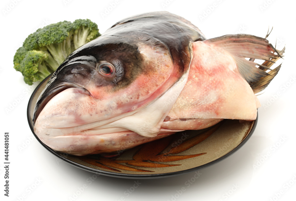 Canvas Prints Close up of chub head on white background