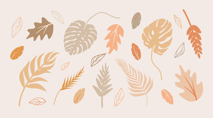 Set of vector leaves in a flat style. Silhouette of autumn leaves in boho color. Illustration of simple plants and branches for printing. Design for the website of the salon