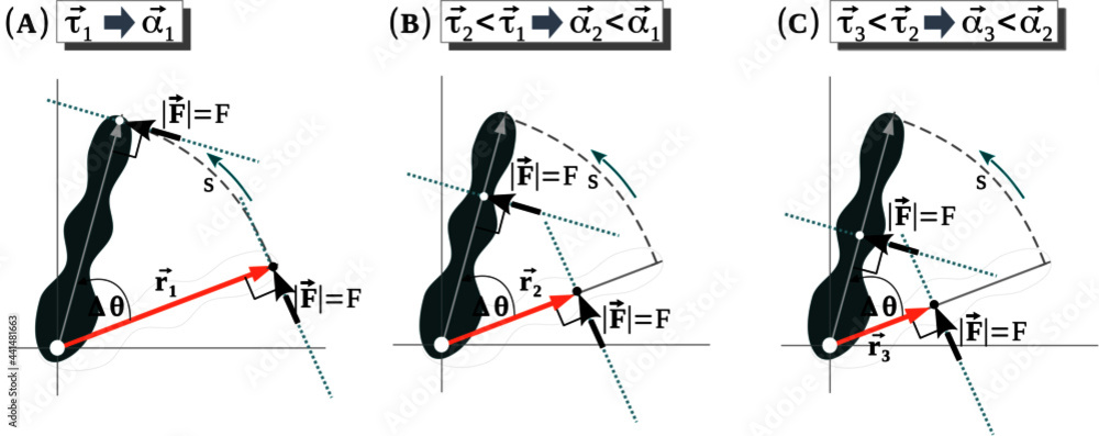 Poster newton’s second law for rotation: the net torque on the rigid body is equal to the moment of inertia