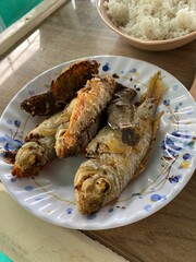 베트남 푸꾸옥 요리