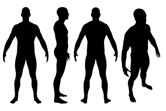 Set with silhouette of a naked standing man isolated on a white background. Vector illustration