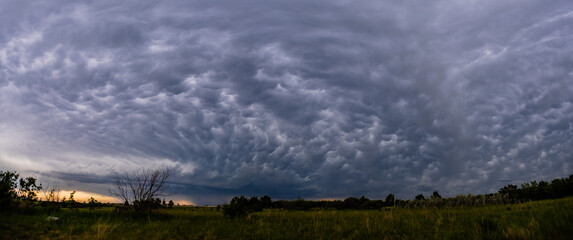 clouds over the field