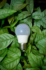 eco saving light bulb