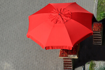 A red sun umbrella over a market place with crates of red strawberries. Isolated on a gray background. Top view.