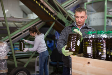 Focused man engaged in family production of olive oil inspecting quality of bottled oil at warehouse