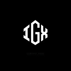 IGX letter logo design with polygon shape. IGX polygon logo monogram. IGX cube logo design. IGX hexagon vector logo template white and black colors. IGX monogram. IGX business and real estate logo. 