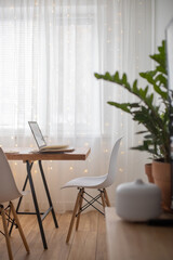 Empty modern scandi interior of living room potted plant furniture decor elements minimalistic home