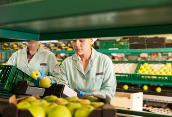 Women working on the producing sorting line at a fruit warehouse, preparing an apples for packaging