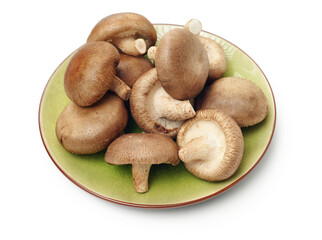 Shiitake mushroom on the White background 