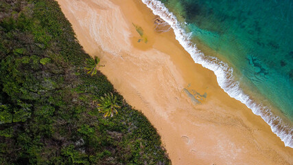  Red sand beach on tropical island from above 
