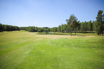 Fototapeta premium Green field against the background of forest and a blue sky.