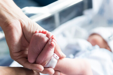 Hand holding feet of newborn baby