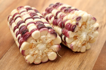 Corn on a white background 