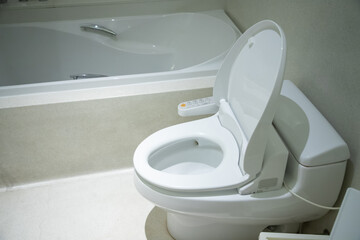 toilet sanitary ware with automatic flush system, japan toilet bowl.