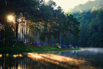 Fototapeta premium Morning in Pang Ung Lake,North of Thailand, is a tourist place where people come to vacation in the winte . Concept Travel