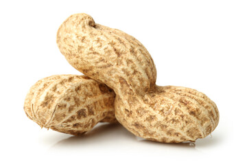 Peanuts on white background
