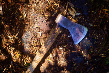 axe in a log