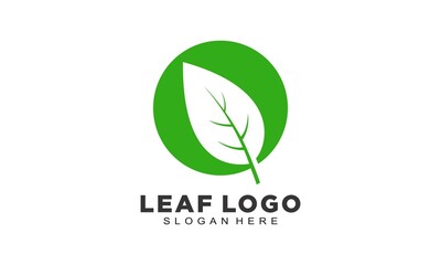 Simple leaf vector logo