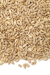 Peeled sunflower seeds pile on white background