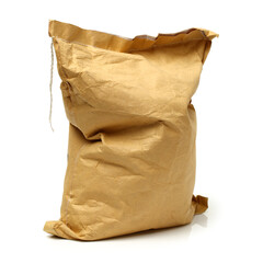 brown paper bag isolated