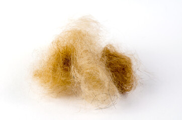 Orange dog hair ball on a white background. Dead hair combed out