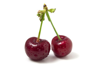 Isolated on white cherries with dew drops. Two ripe berries. Freshness of summer fruits in the...