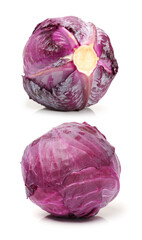 Obraz premium fresh cabbage on a white background