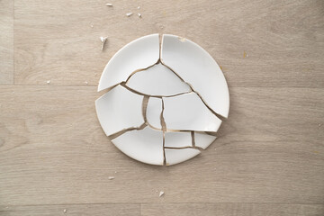 shards from a broken white plate on the floor.