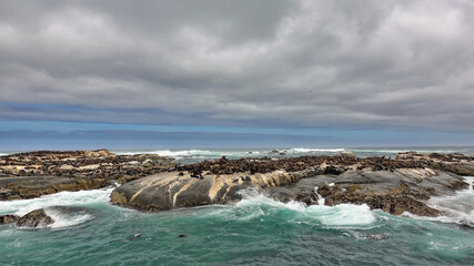 A fur seal rookery on a rocky islet in the Atlantic Ocean. Many marine animals are resting on the rocks. Turquoise waves crash against the shore, foaming. Cloudy sky. South Africa
