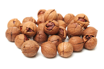 shagbark hickory nuts on white background