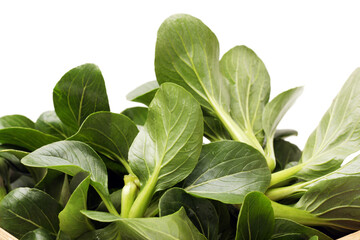Green kale on a white background