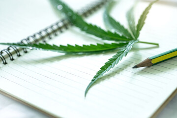 Cannabis leaf on book with pencil, Learning about cannabis leaf for medical treatment