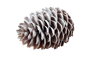 one Christmas tree cone sprinkled with white snow on a white isolated background.
