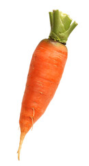 carrot isolated on white background