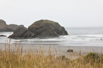 Grass Along the Coast Above an Oregon Beach