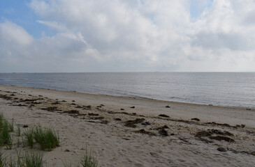 Early morning at the beach, Slaughter Beach, Delaware, looking out onto the ocean