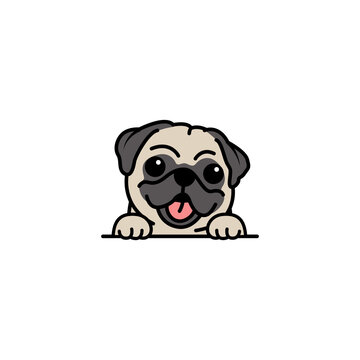 Cute pug dog cartoon, vector illustration