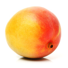 Mango on a white background